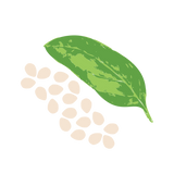 Squeeze Packs: Tahini & Pesto (box of 10) by eatsoco