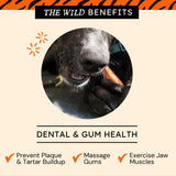 Backstrap Tendon Hard Jerky Strips for Dogs