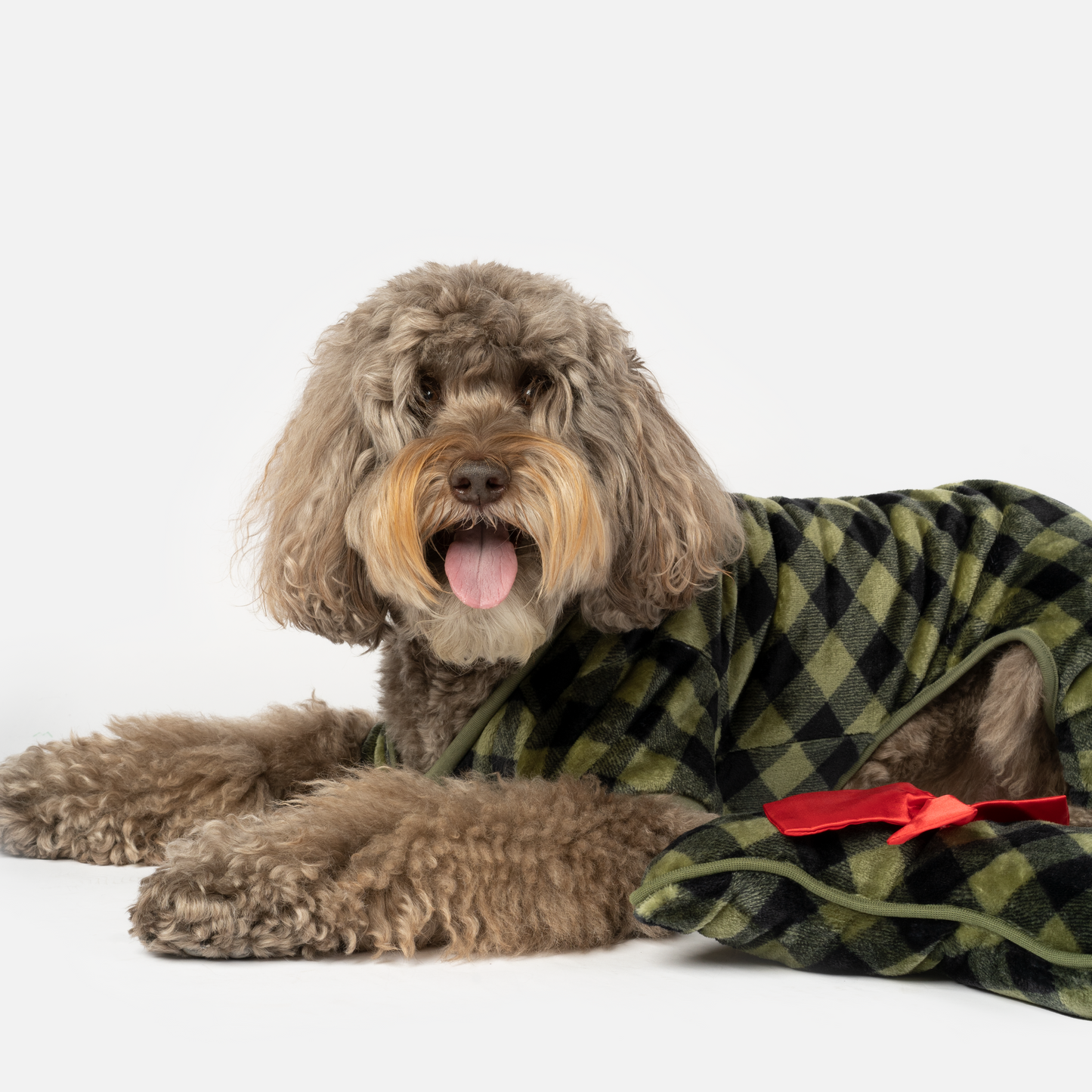 Elf Dog Pjs & Stocking Set - Green Plaid