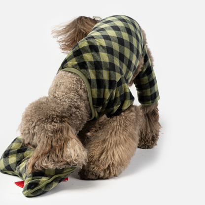 Elf Dog Pjs & Stocking Set - Green Plaid