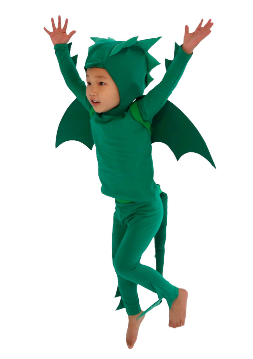 Green Dragon Costume by Band of the Wild