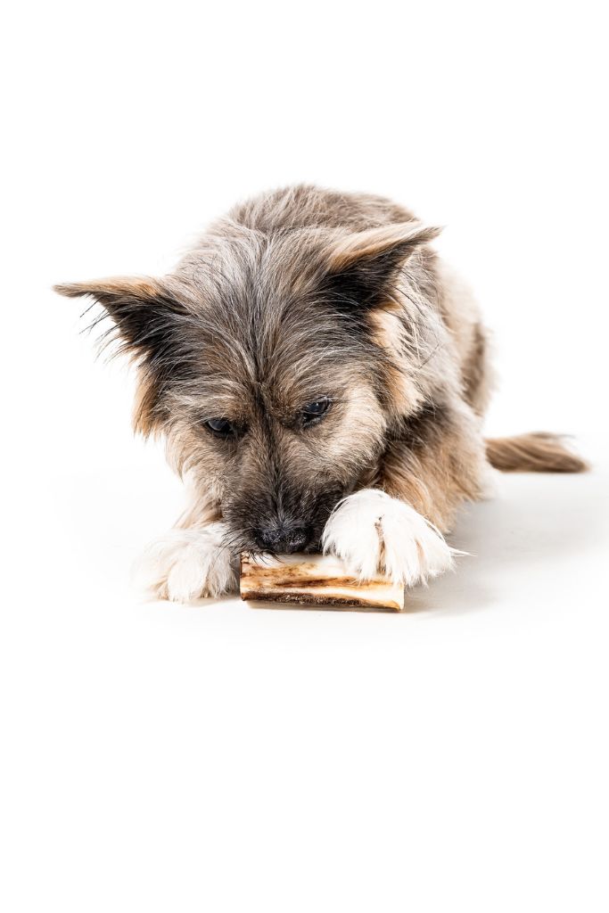 Winnie Lou, Pet Snack Bundle, Peanut Butter Pretzels, Bison Burger Jerky, Bison Marrow Bone 4