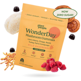 WonderDay Mushroom Gummies