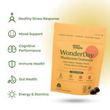 WonderDay Mushroom Gummies
