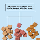 3 Pack - Superfood Dog Treats with Koji (5 oz per bag) by Wild Earth