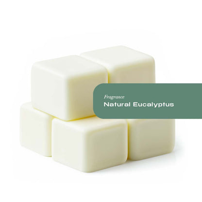 Natural Eucalyptus Wax Melt Tarts