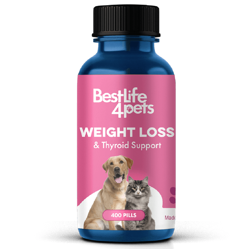 Natural Weight Loss & Thyroid Support Supplement for Dogs & Cats by BestLife4Pets