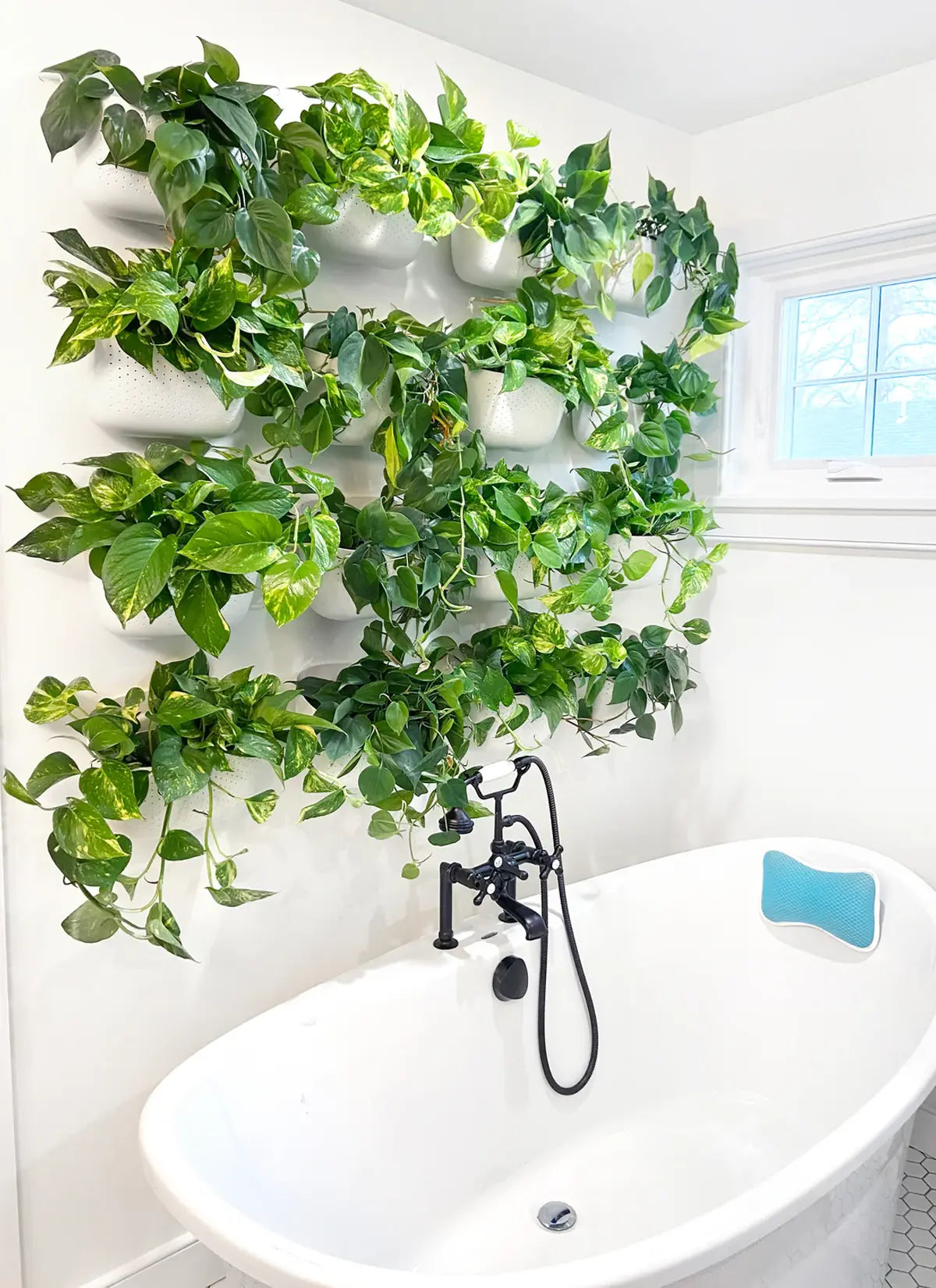 Wally Eco Wall Planter