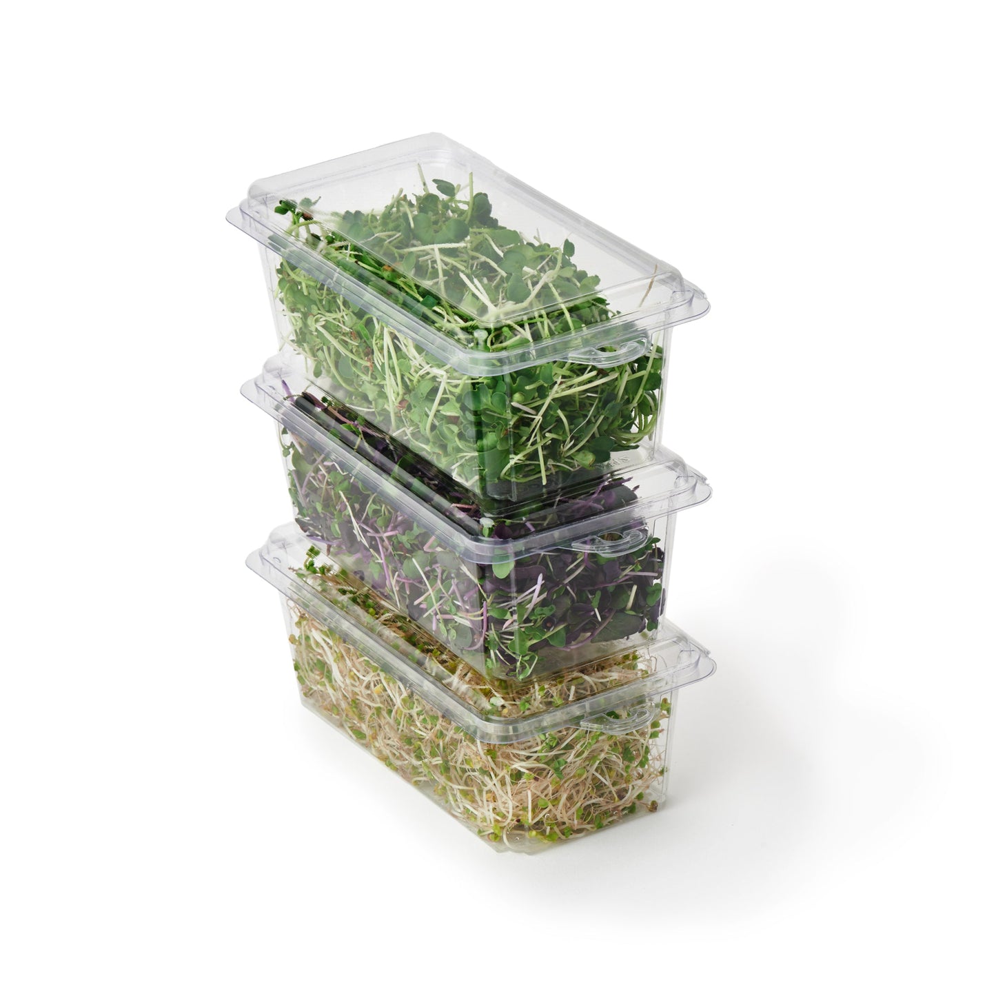 2 - 3 oz. Hanging Herb or Microgreen Package (0412)