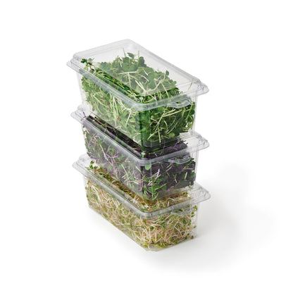 2 - 3 oz. Hanging Herb or Microgreen Package (0412)