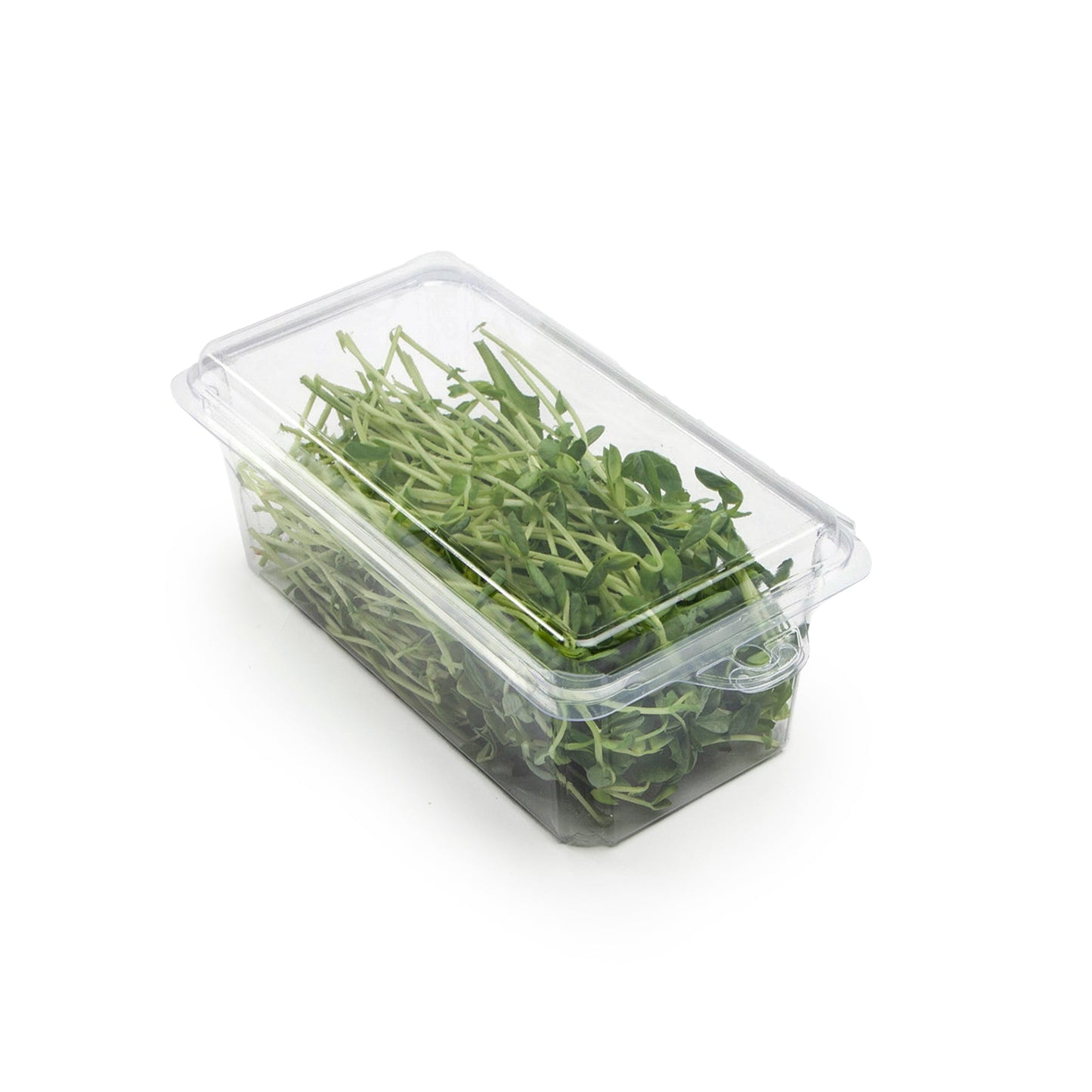 2 - 3 oz. Hanging Herb or Microgreen Package (0412)