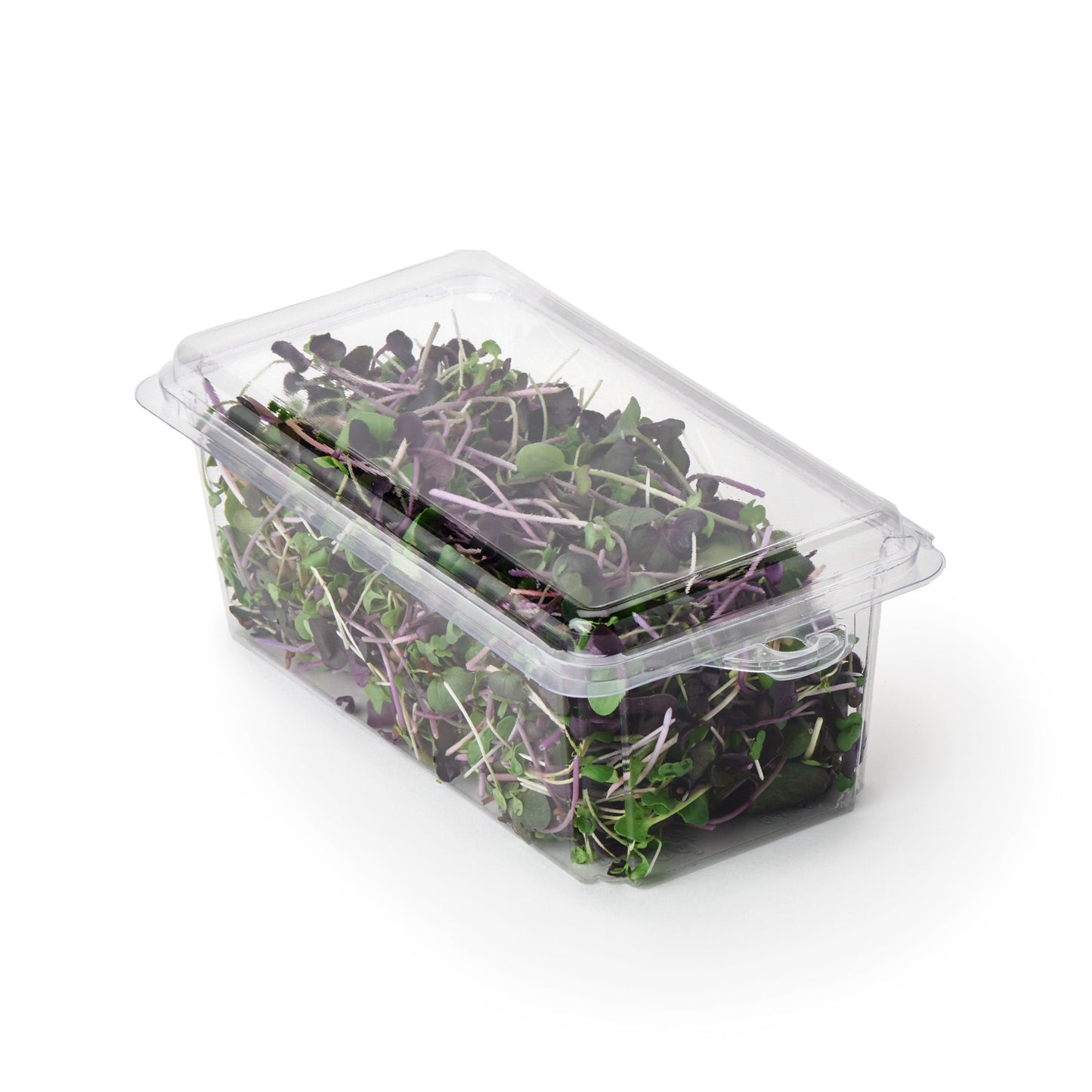 2 - 3 oz. Hanging Herb or Microgreen Package (0412)