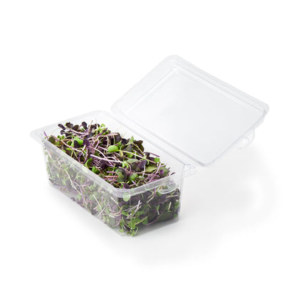 2 - 3 oz. Hanging Herb or Microgreen Package (0412)