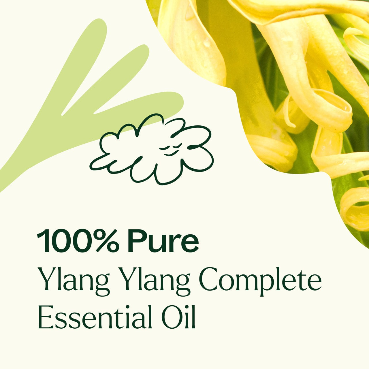 Ylang Ylang Complete Essential Oil