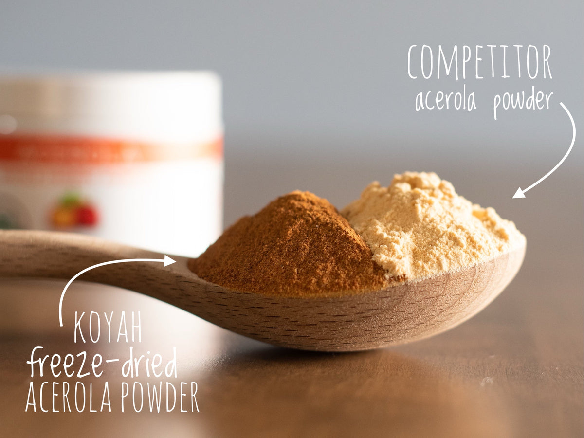 Organic Acerola Powder