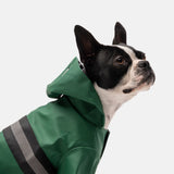 Aden Dog Raincoat
