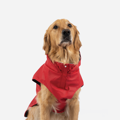 Aden 2.0 Dog Raincoat Red