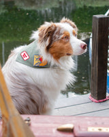 ADVENTURE BANDANA by MODERNBEAST