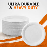 Cheer Collection 9 inch Compostable Plates - 100% Biodegradable