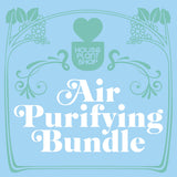 Air Purifying Variety Bundle