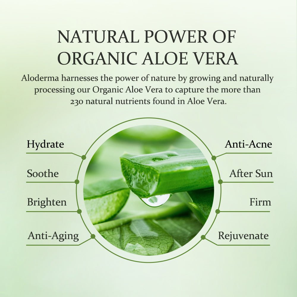 Aloe Nourishing Hand Cream