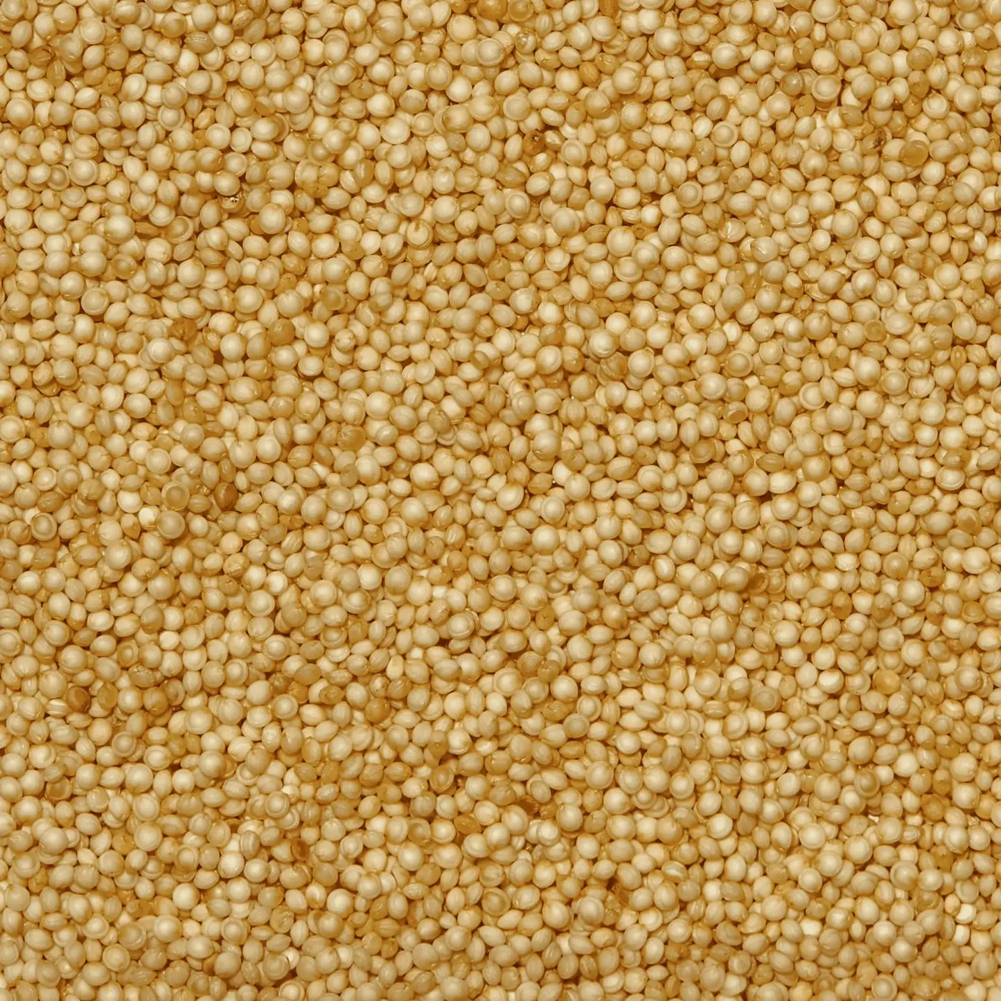 SIMPLi REGENERATIVE ORGANIC CERTIFIED® AMARANTH