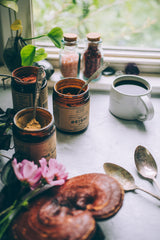 REISHI | Spirit Super-Tonic*