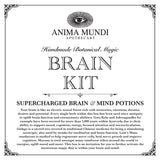 BRAIN KIT | Adaptogenic Nootropics