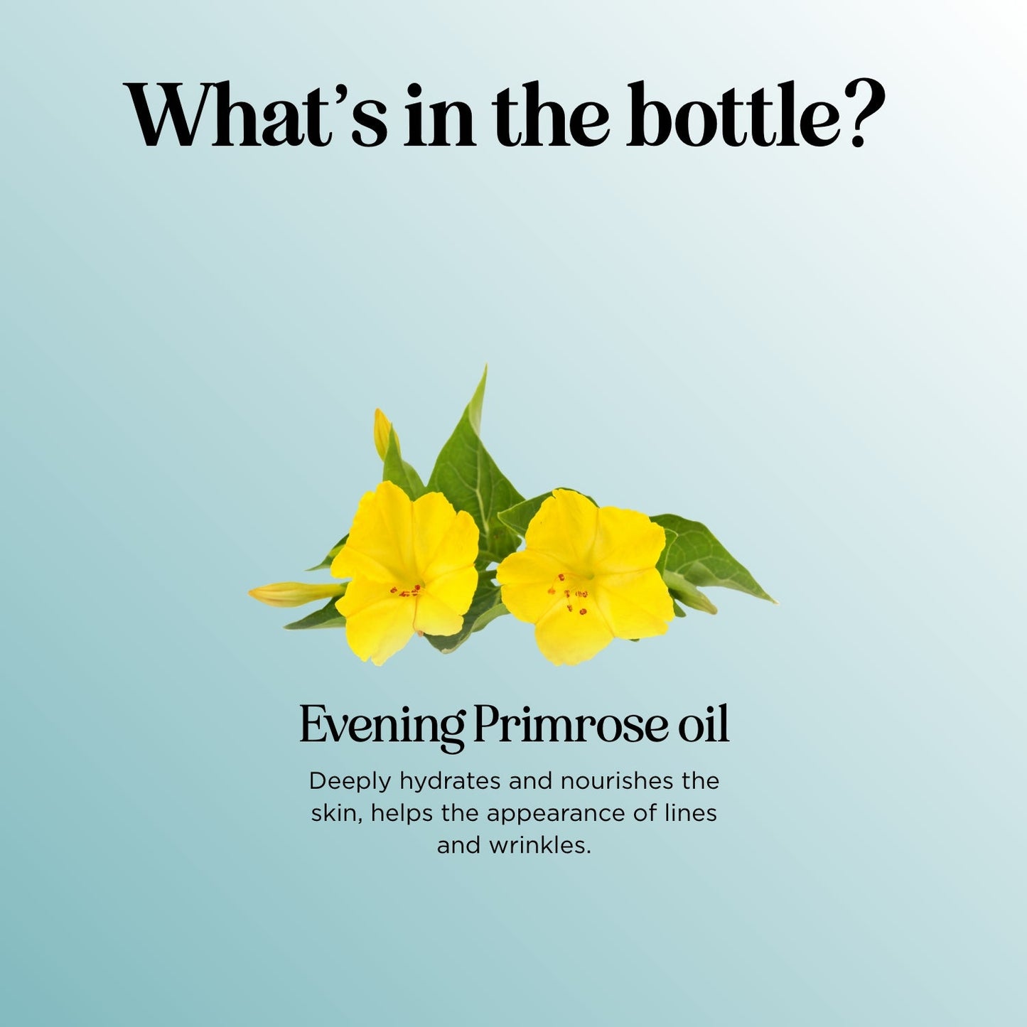 Evening Primrose Oil