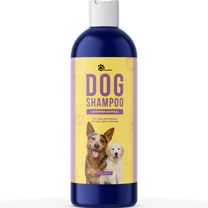 Lavender Oatmeal Pet Shampoo