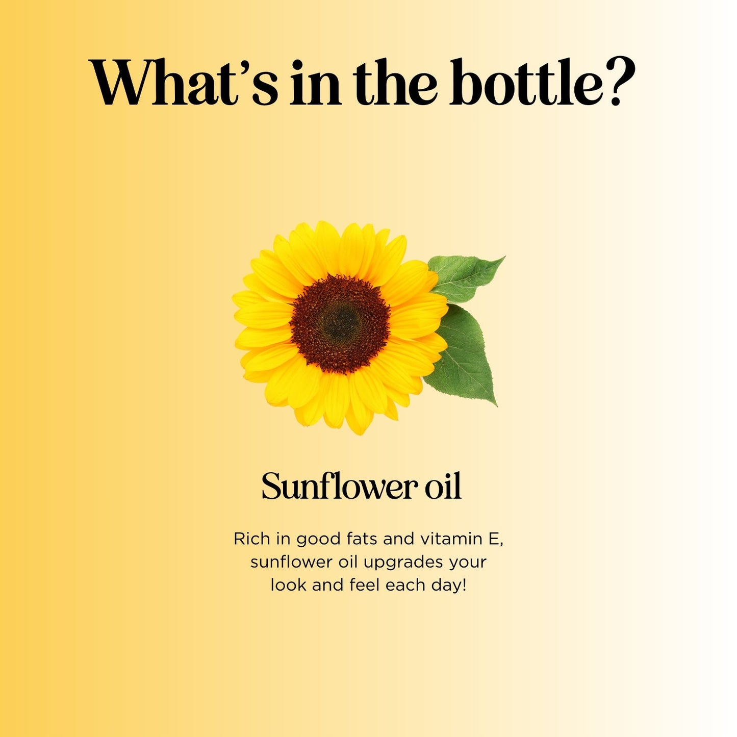 Sunflower Oil