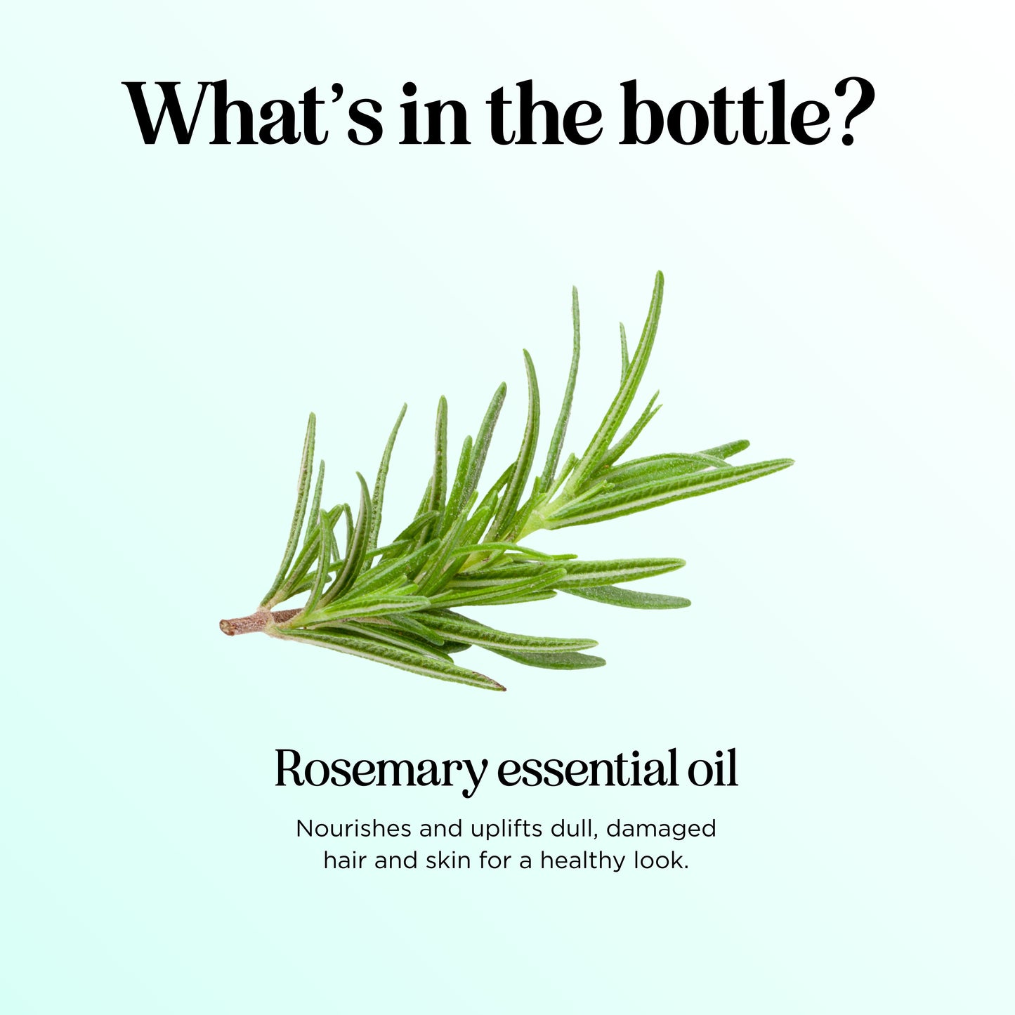 Rosemary Essential Oil