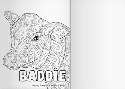 Complete Adult Coloring Book Bundle - Vol 1 + 2 + 3