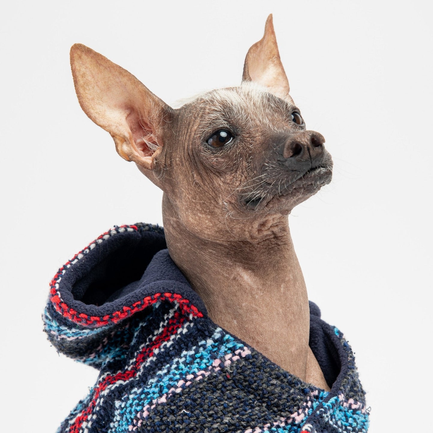 Baja Dog Jacket