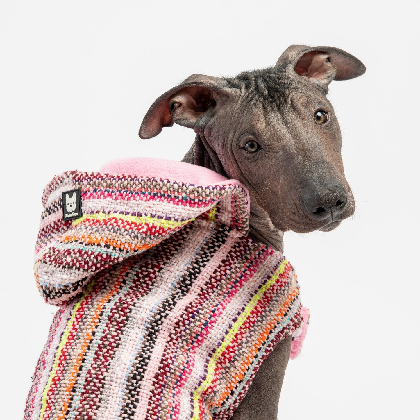 Baja Dog Jacket