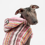 Baja Dog Jacket