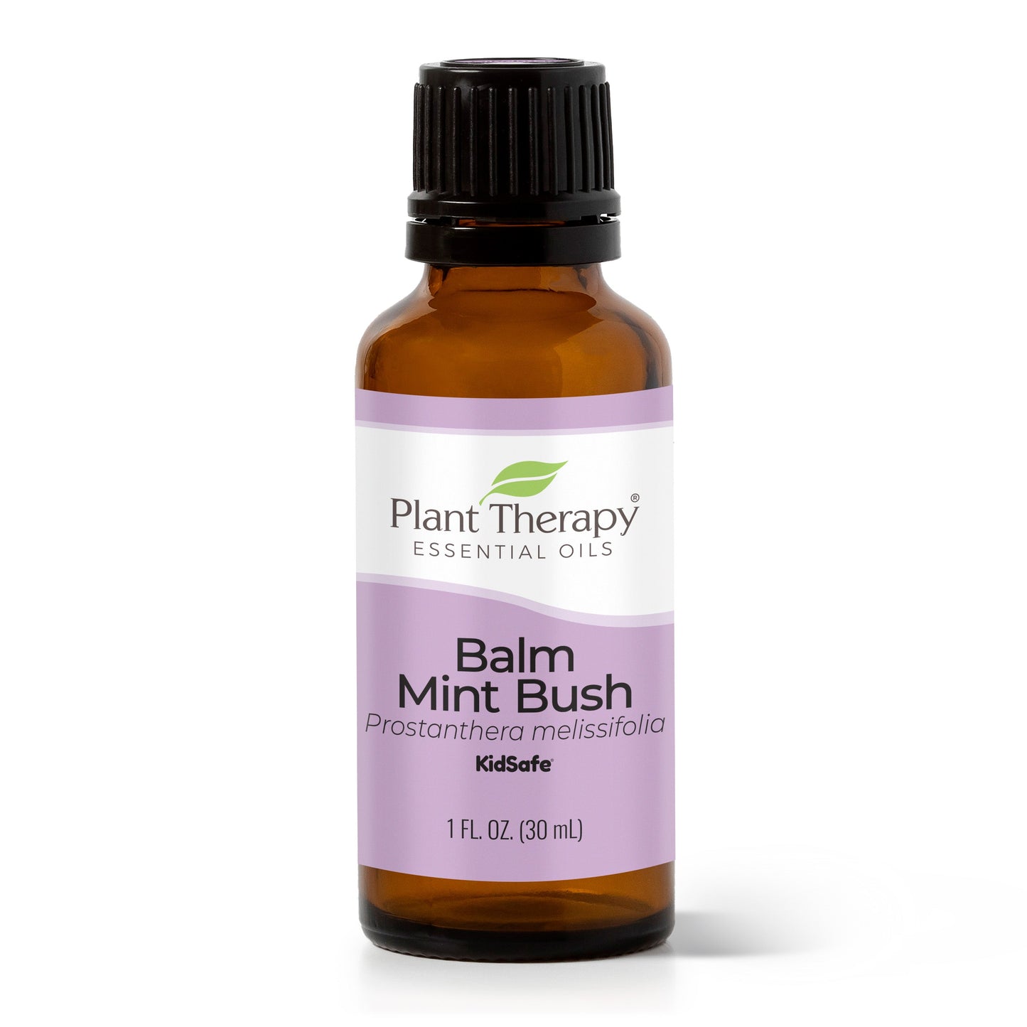 Balm Mint Bush Essential Oil