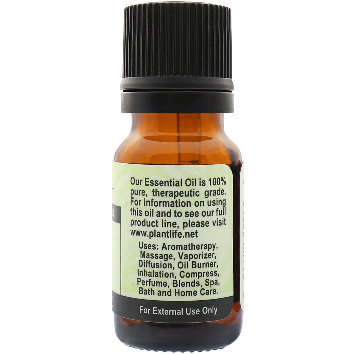 Bay Leaf Essential Oil