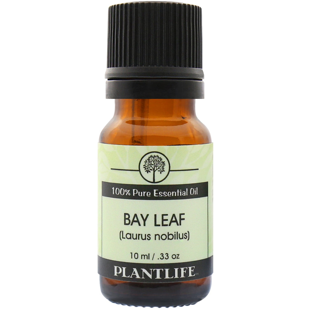 Bay Leaf Essential Oil