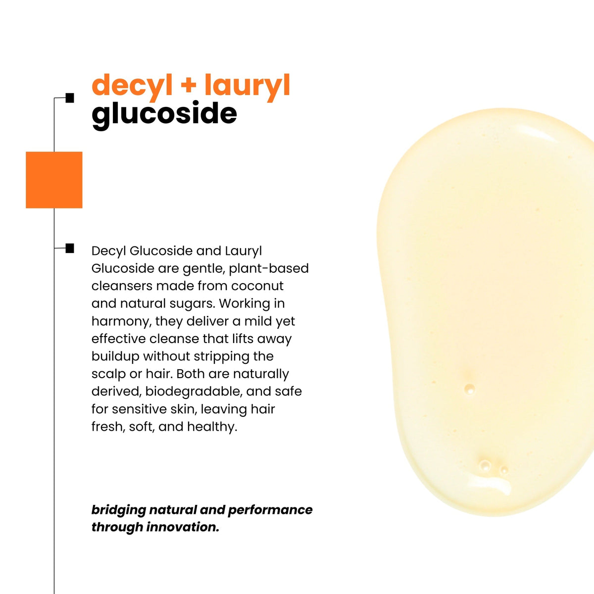 Black Seed & Turmeric Gentle Cleansing and Clarifying Shampoo for Daily Use