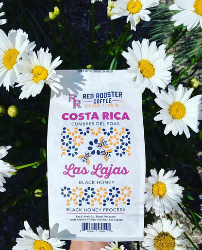 Costa Rica Las Lajas Black Honey