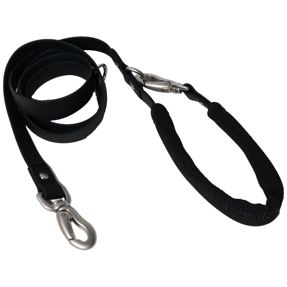 Small Dog Leash