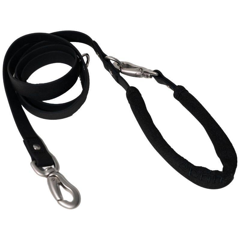 Dog Leash