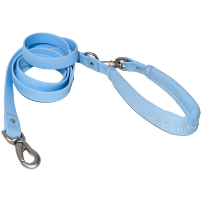 Dog Leash