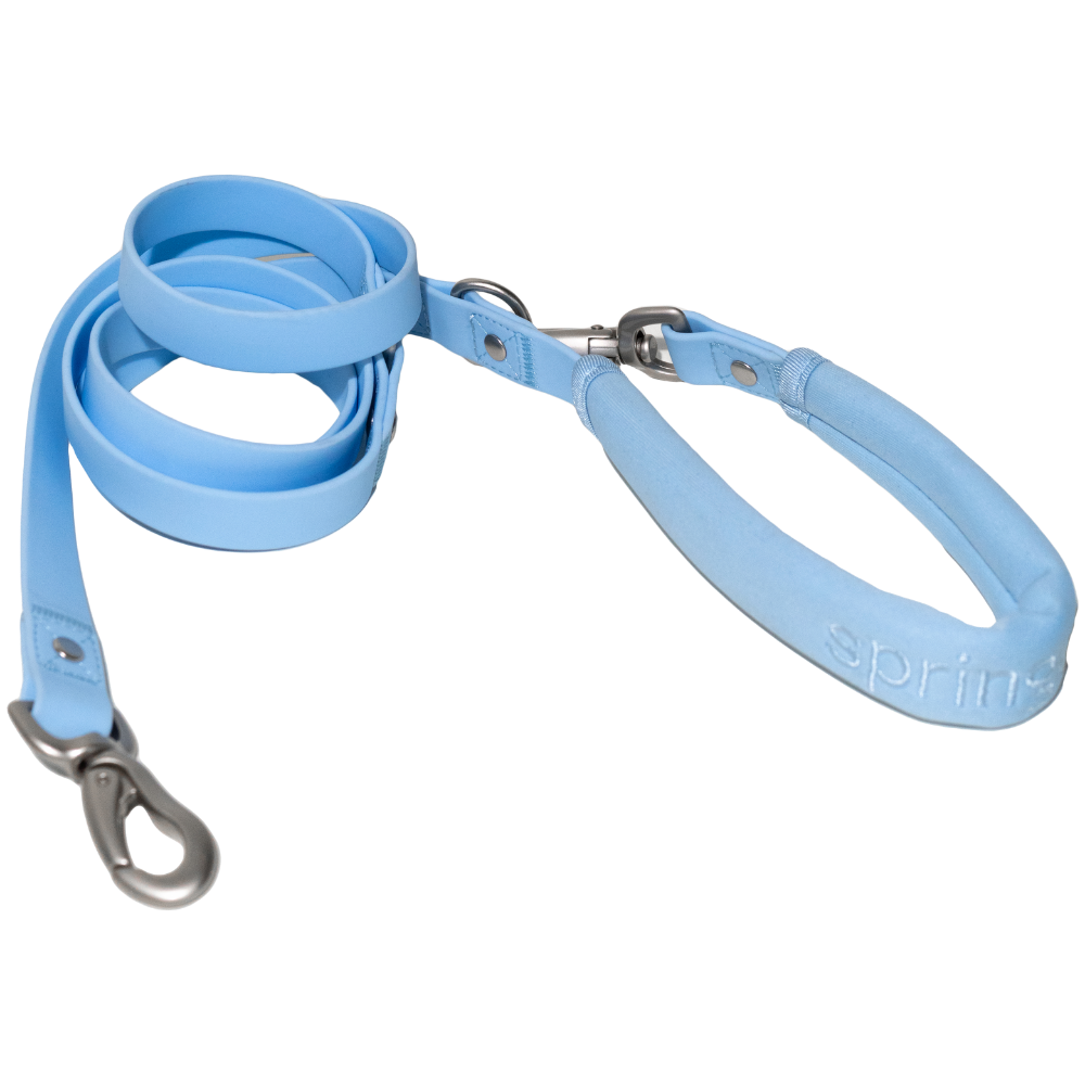 Dog Leash