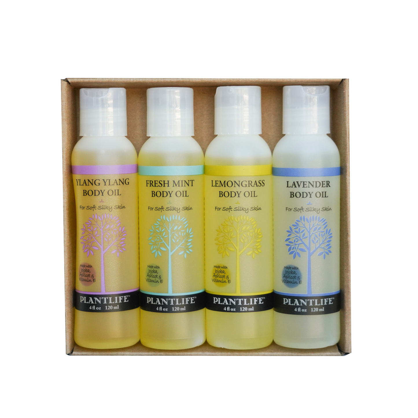 Body Oil 4 Pack