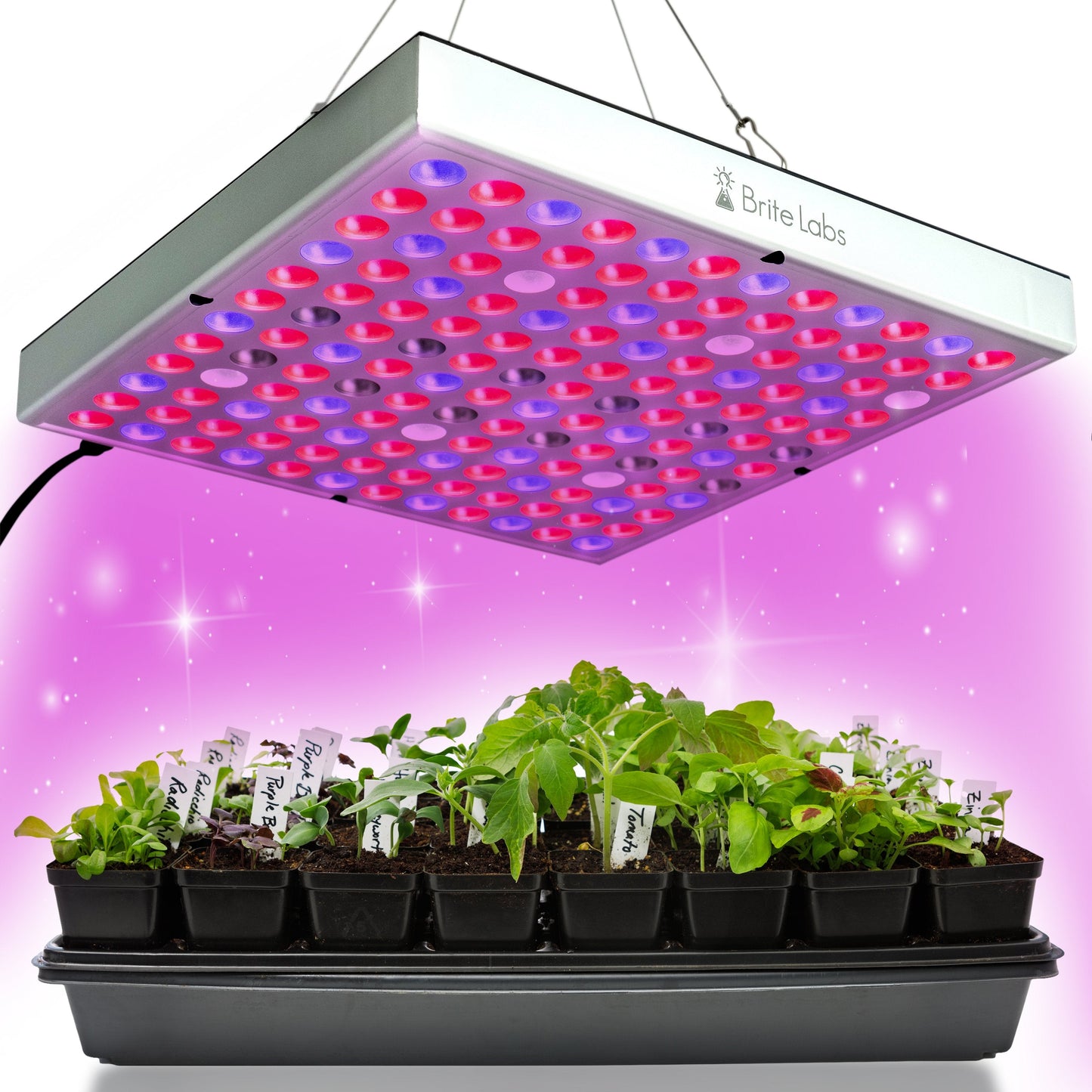 Brite Labs - Gaze Grow Light