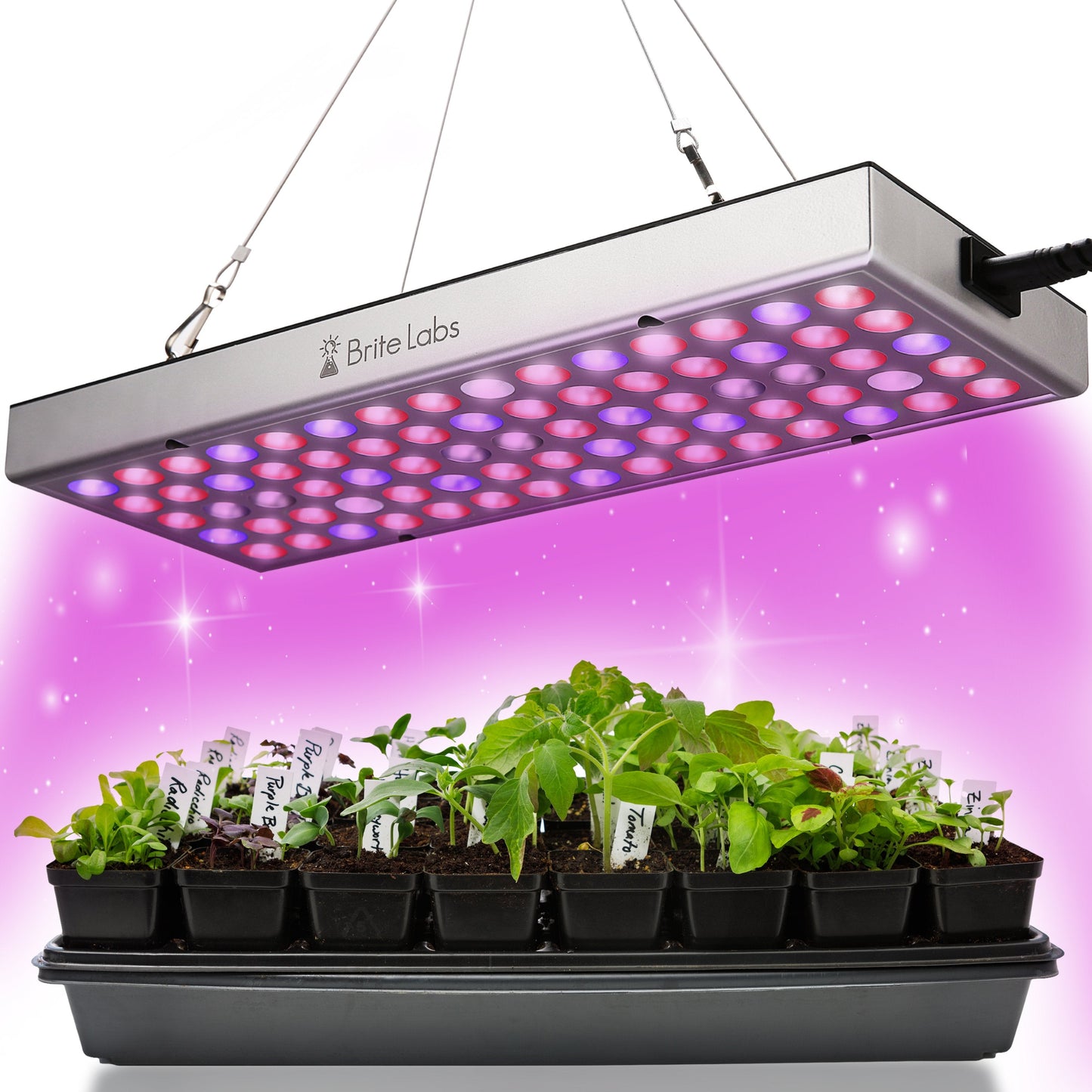 Brite Labs - Gaze Grow Light