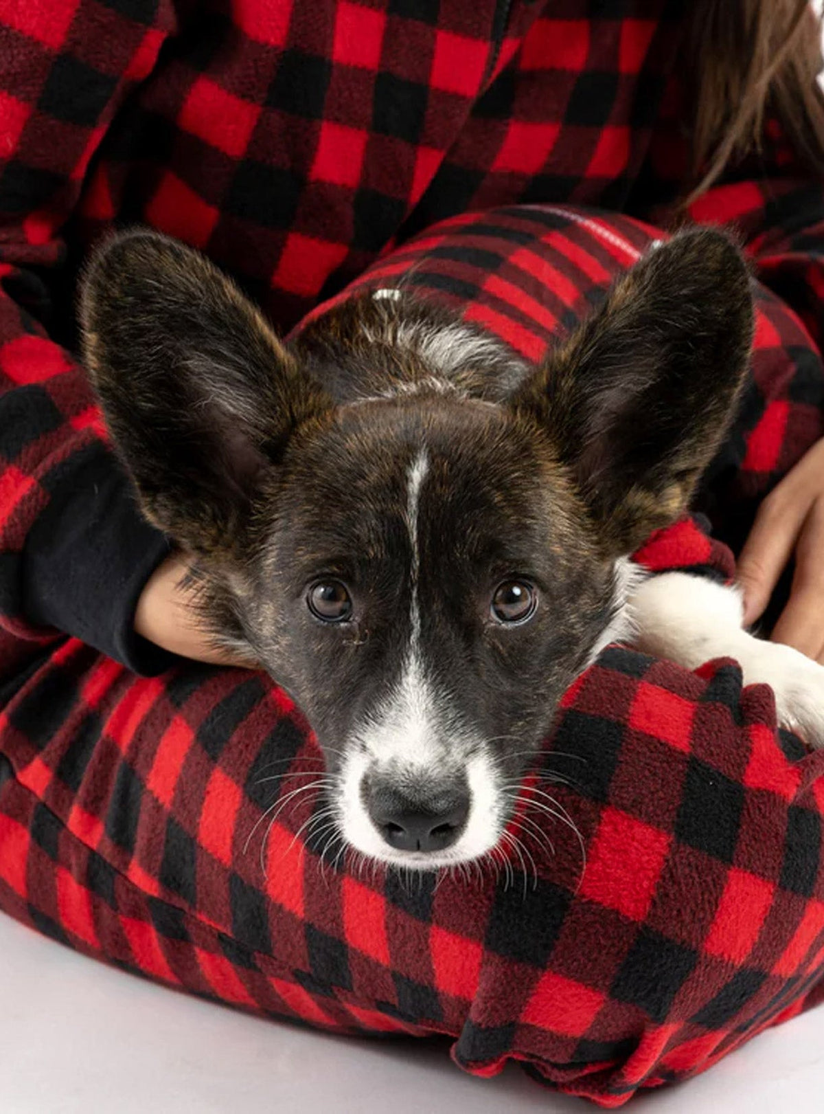 Buy One Dog Onesie Plaid Red Get Free Human Matching