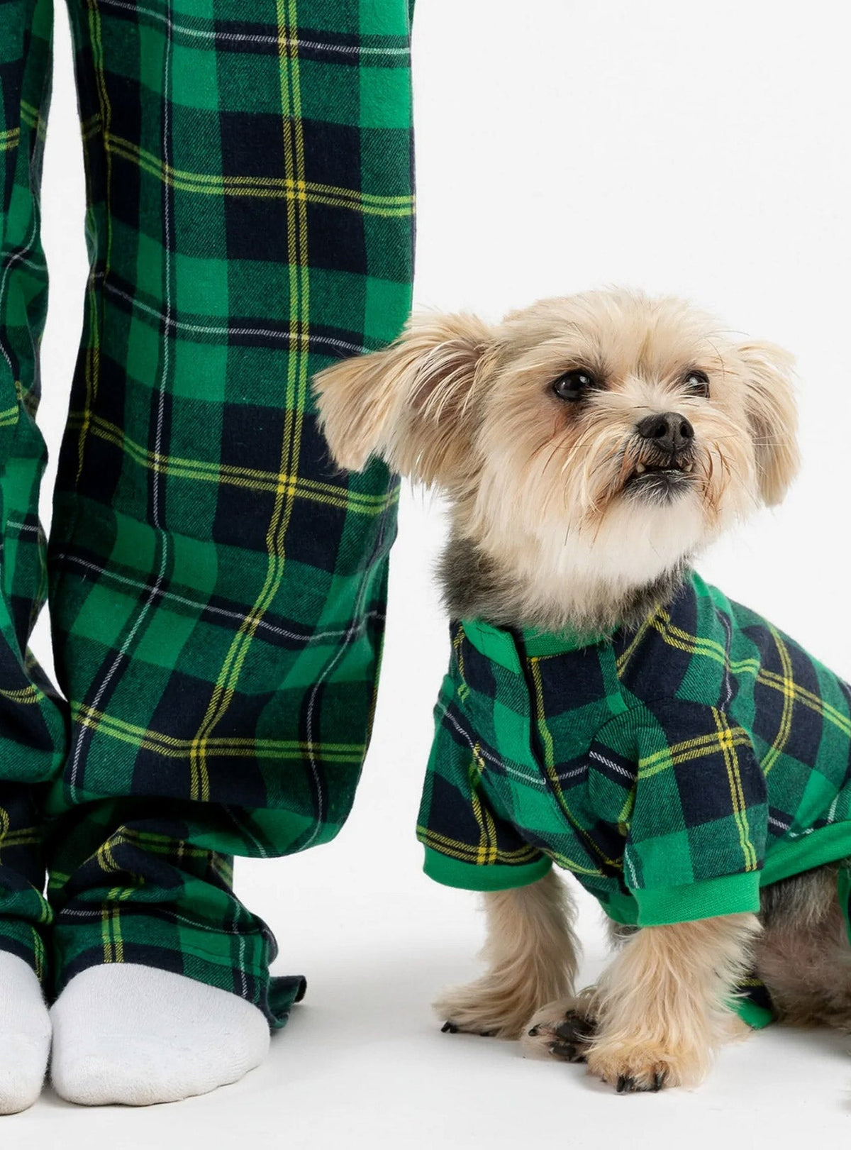 Buy One Dog Plaid Green PJ Get Free Human Matching